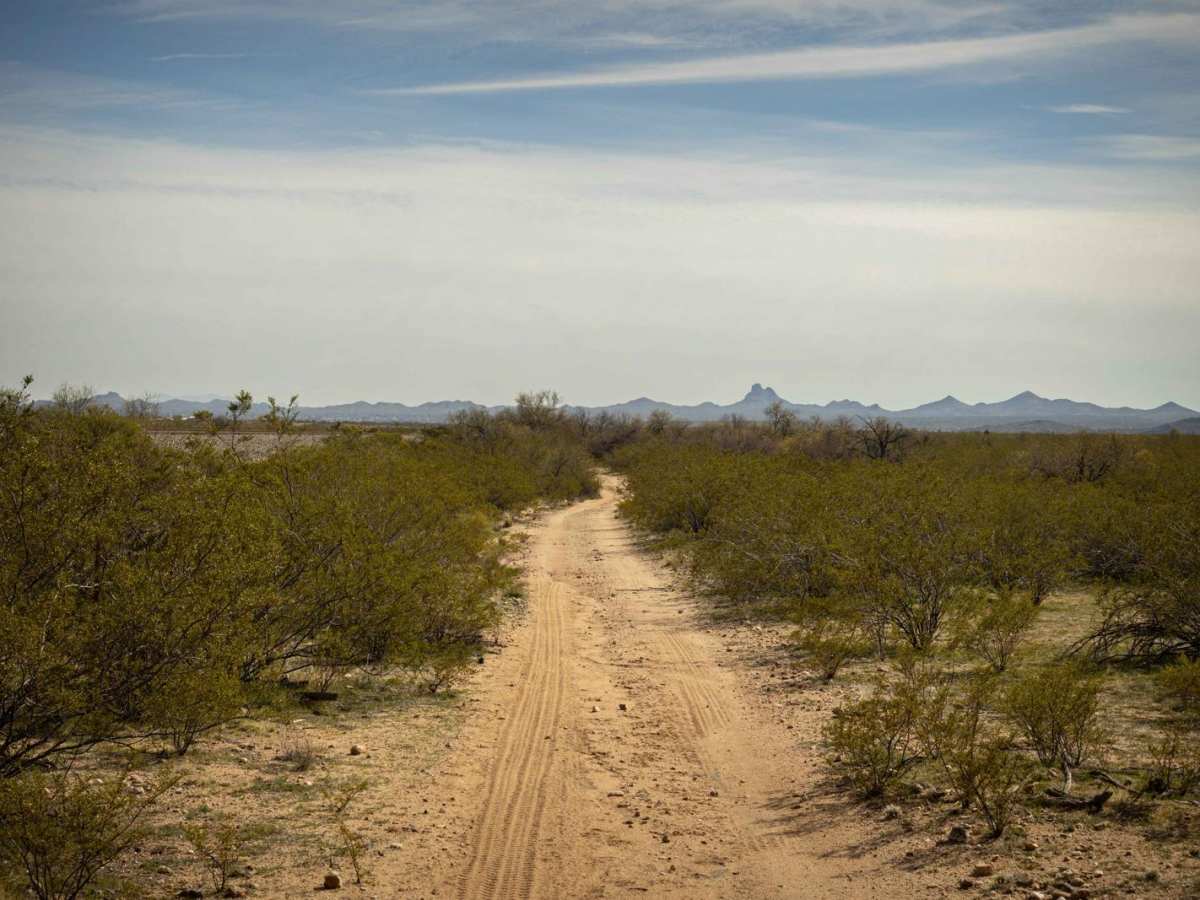 Southbound and Down photo 4