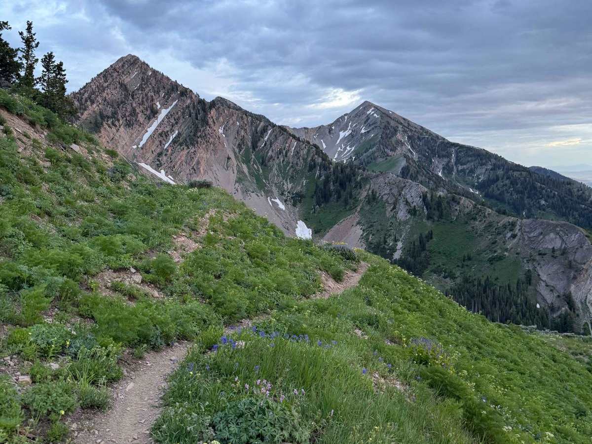 Rock Canyon - Dry Fork trail photo