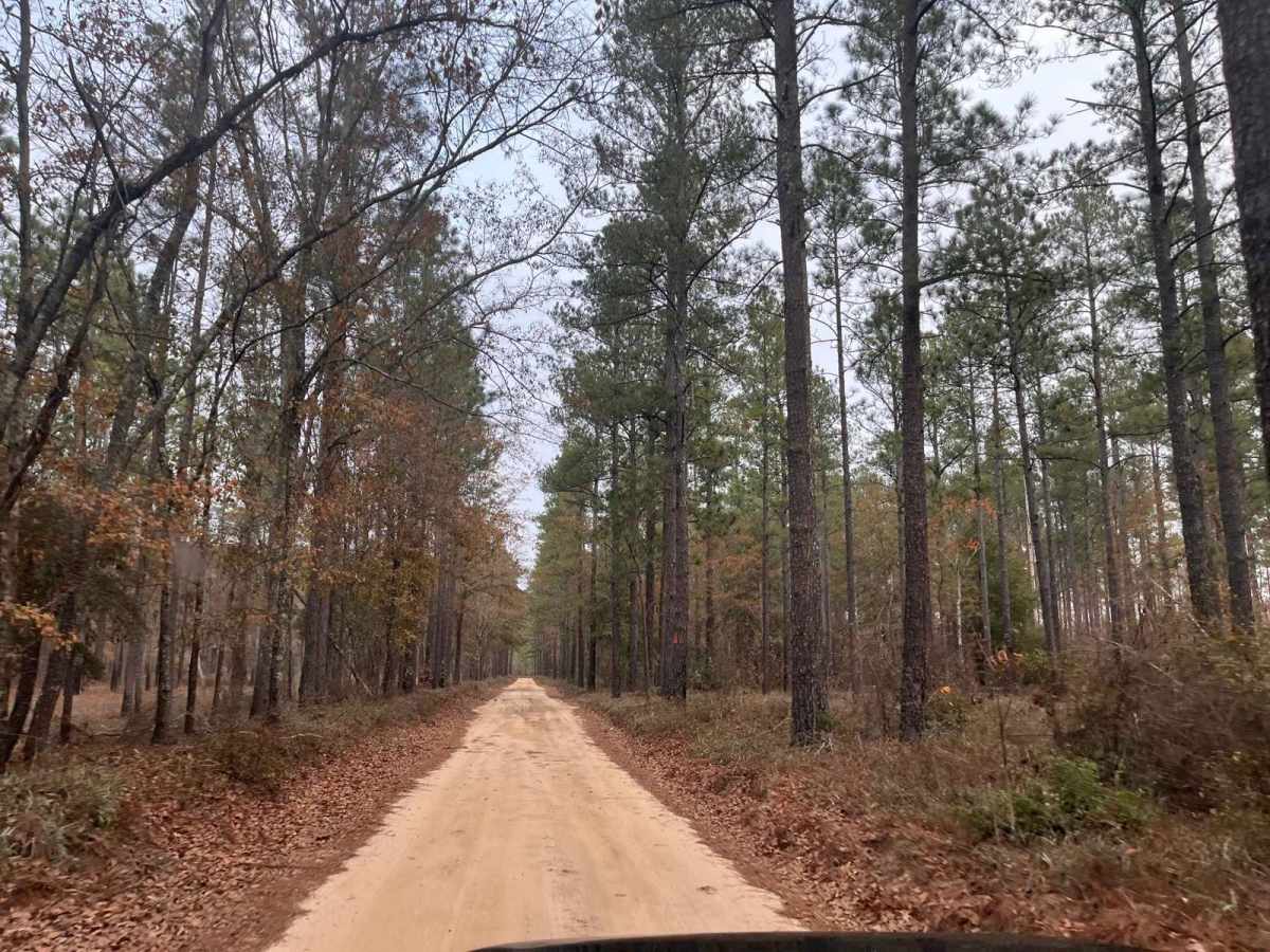 Kathwood Trail trail photo