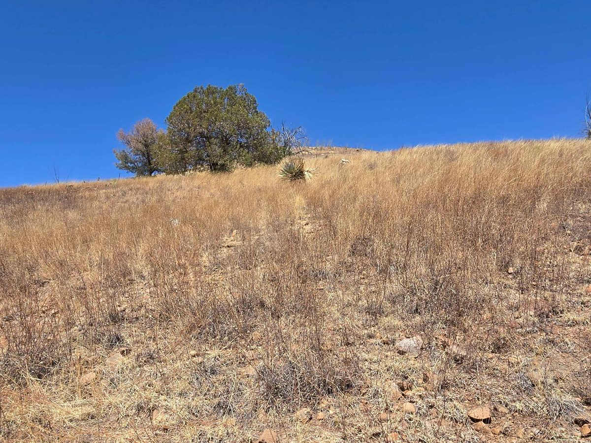 Hog Canyon Side Trail trail photo