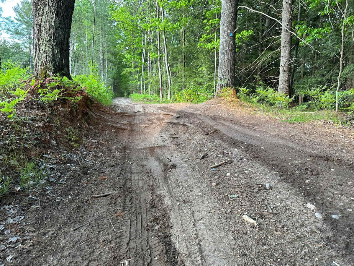 Lake Dubonnet Trail photo 4