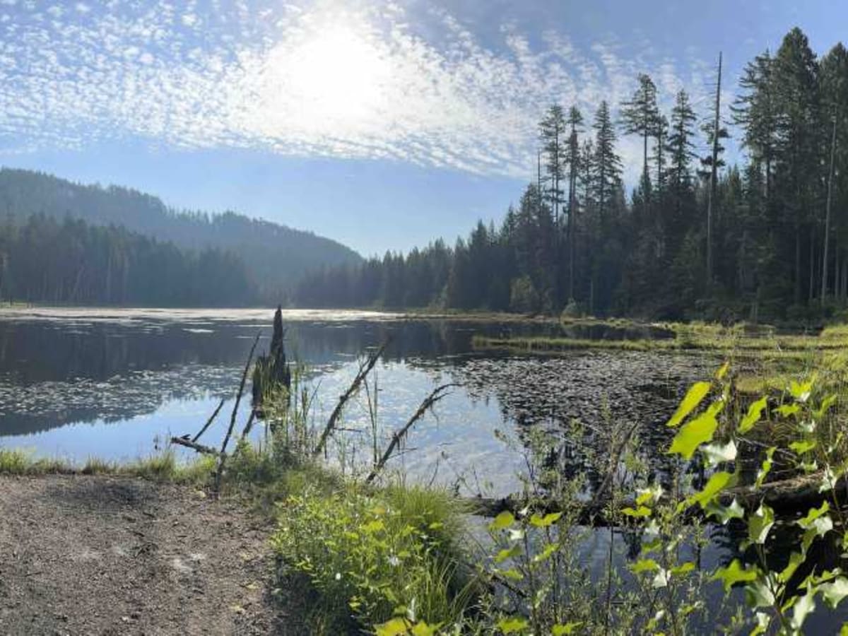 Skookum Pond photo 2
