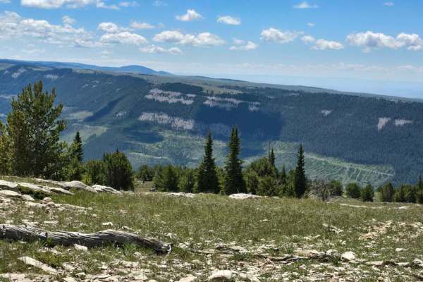 Grouse Creek Overlook Spur