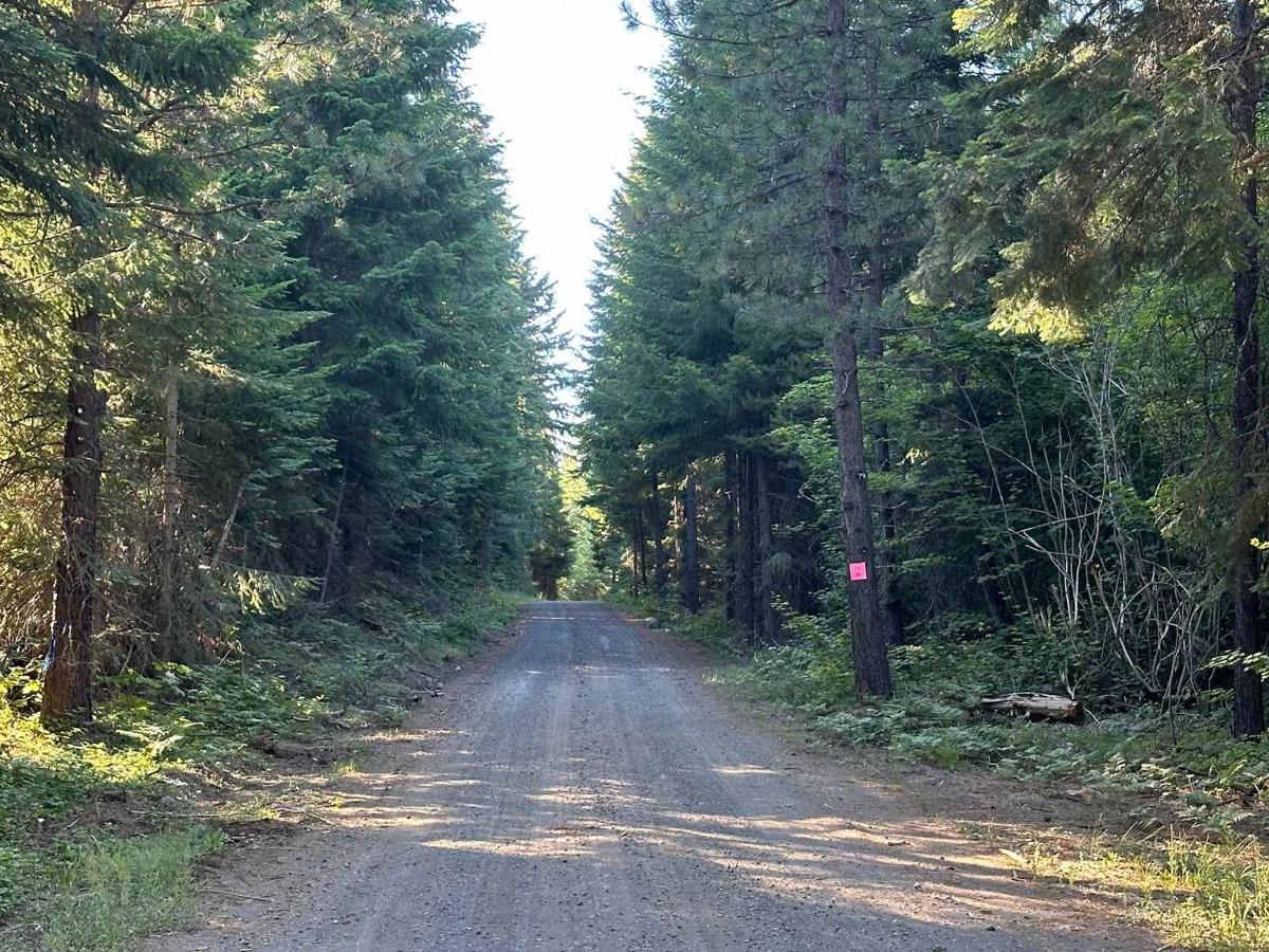 Lower Buck Creek N713 trail photo
