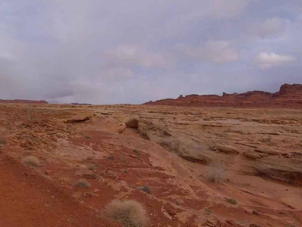 White Canyon Road photo 6