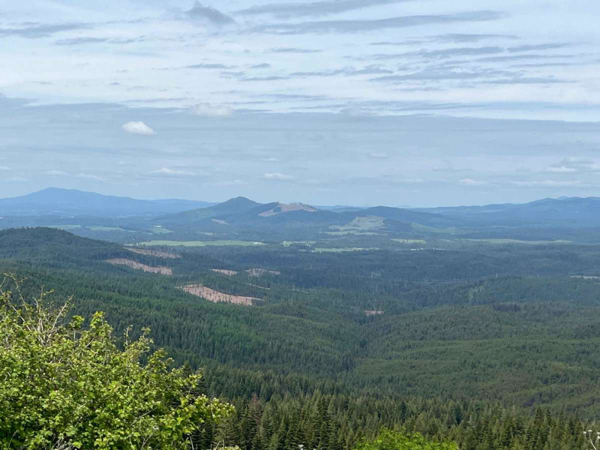 National Forrest Development Road 3308 photo 6