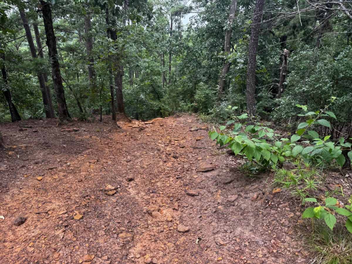 Wile E. Coyote trail photo