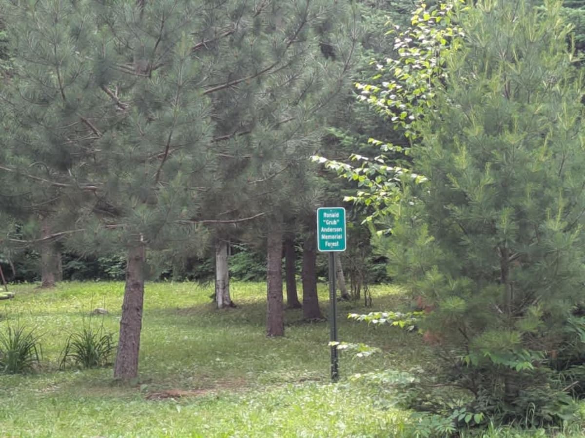 Pine Lake Access Road photo 5
