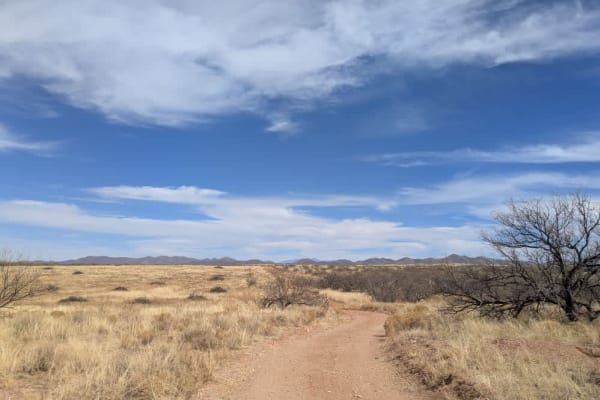 State Tank Road