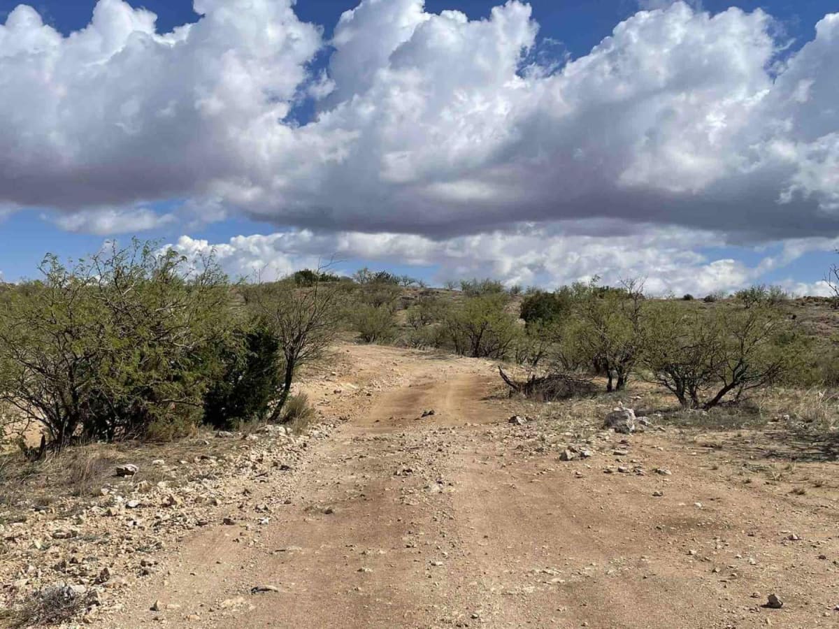 Chiva Loop - Forest Road 4417 trail photo