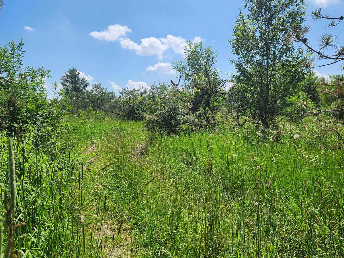 Trail 8B - Rock Run Recreation Area photo 3