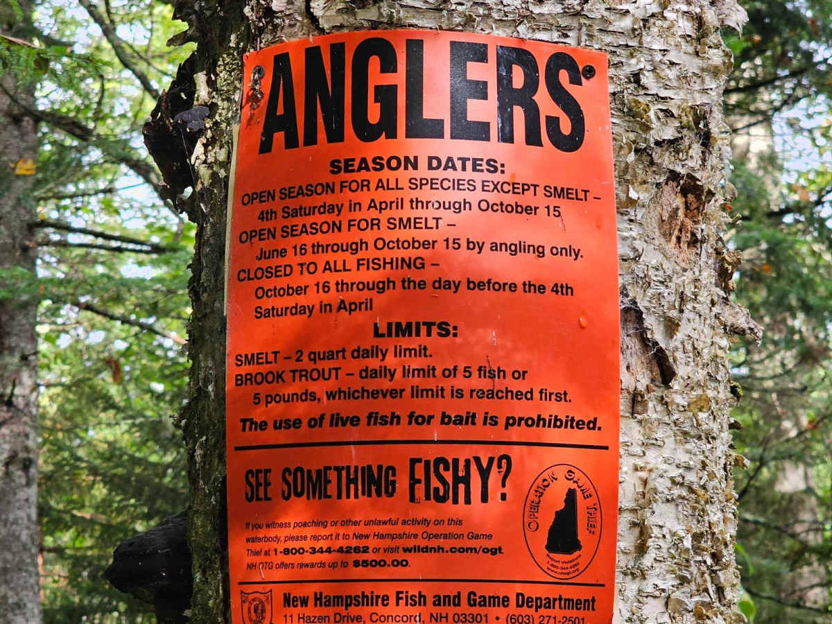 Pond Safety Road photo 5