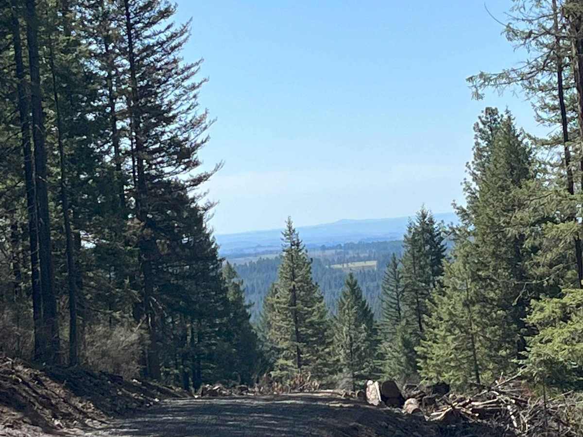 Cherry Butte Lower Road photo 3