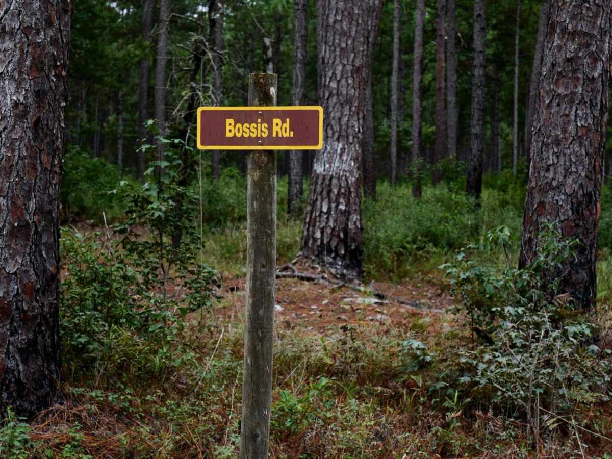 Bonneau Ferry WMA - Perimeter Loop B photo 2