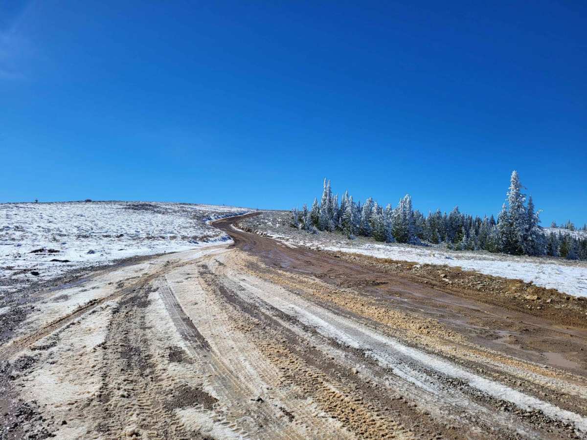 Curtis Creek Road (FR059) photo 3
