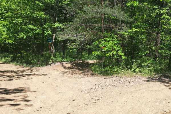 Bear Path 1