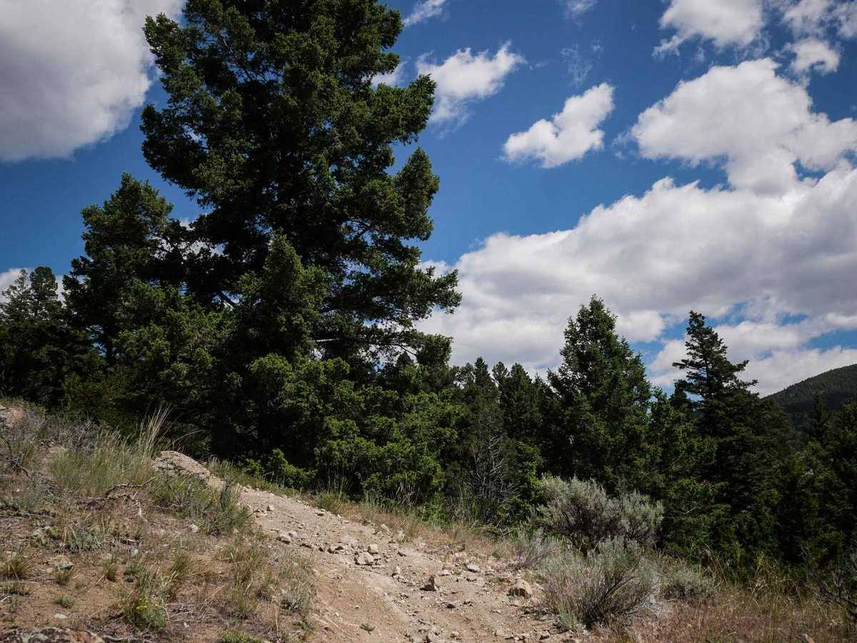BLM 9 (Dry Creek Single Track) photo 5