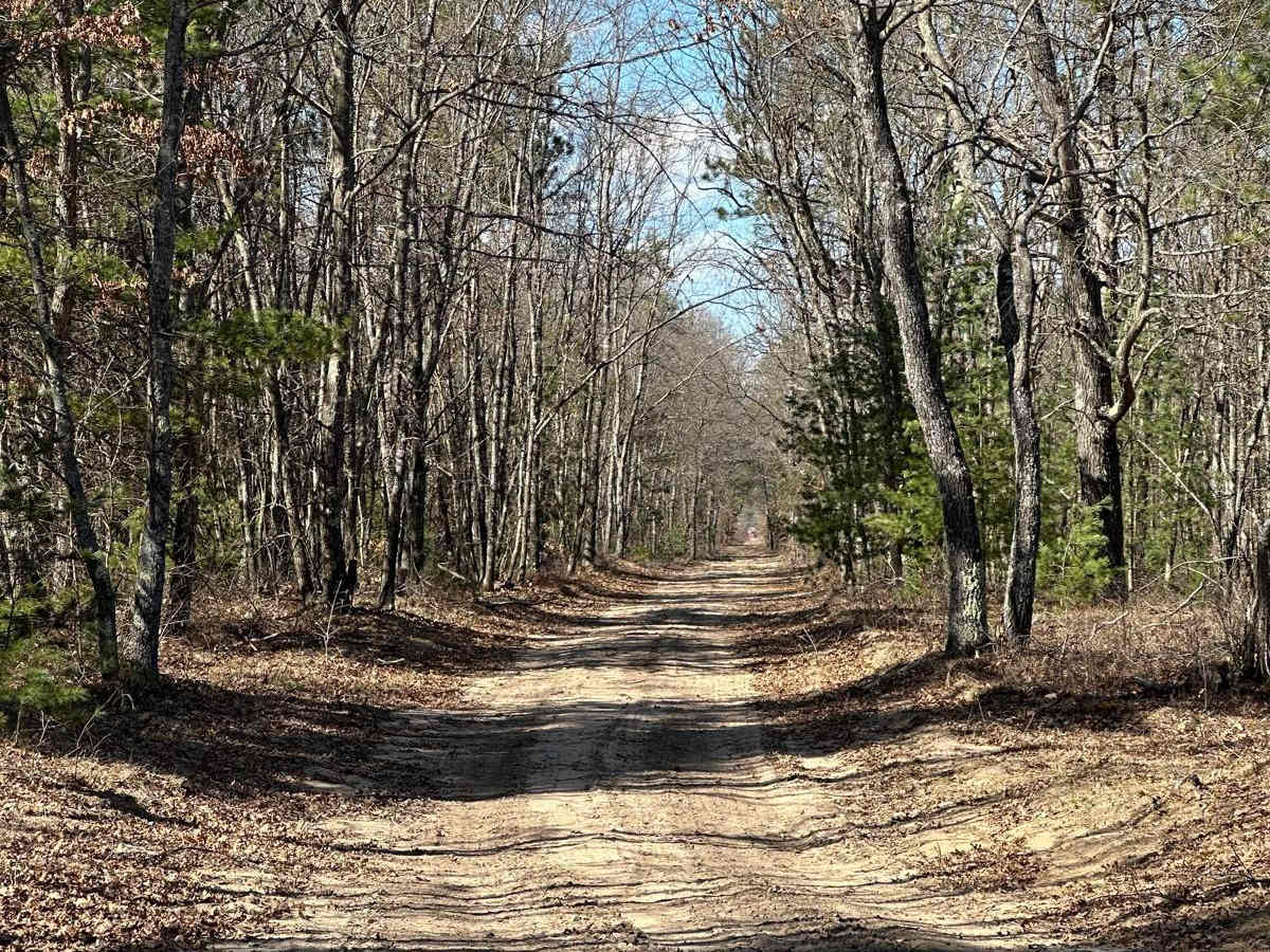 Mack Road photo 4