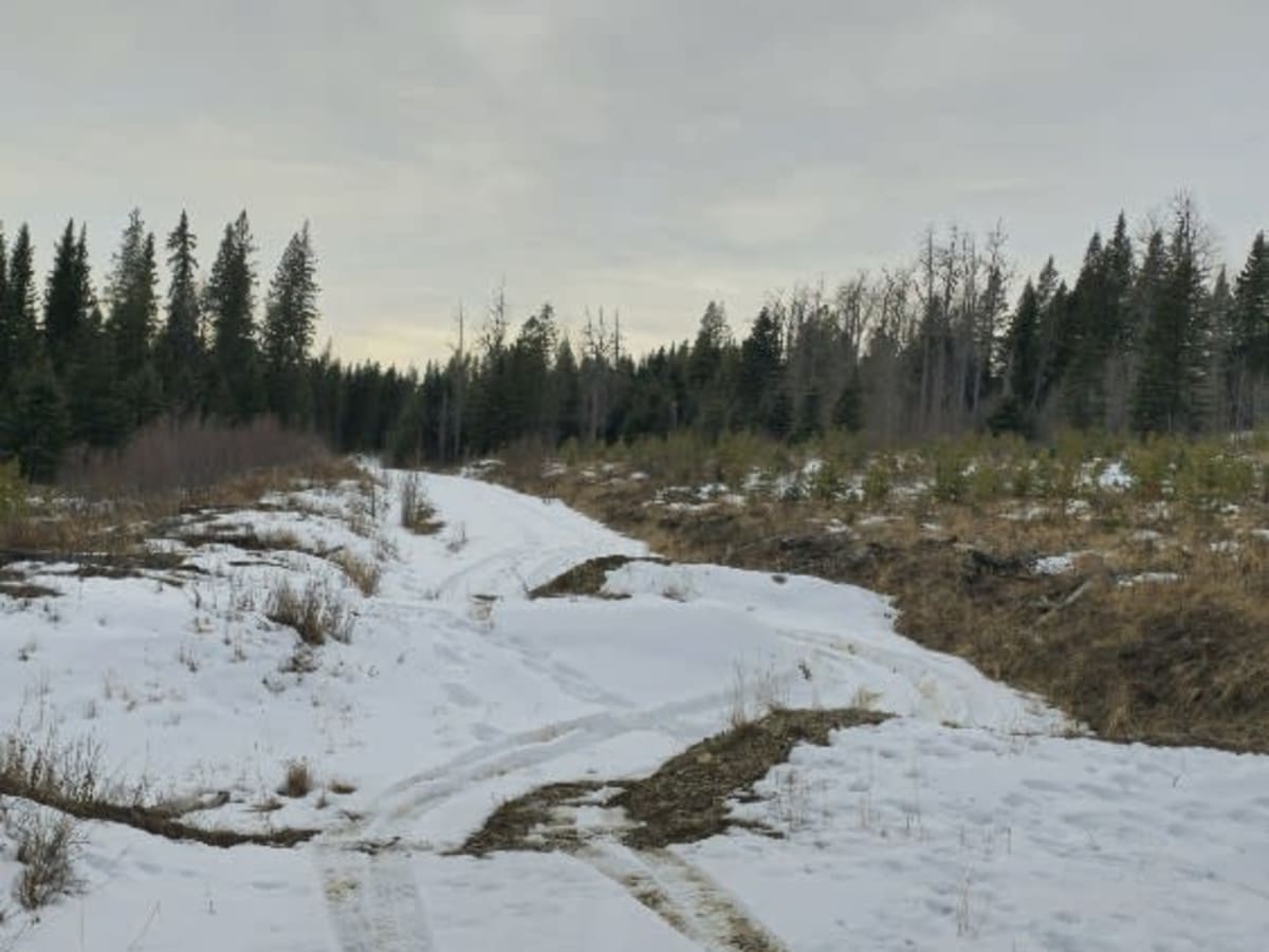 3150 Trail photo 2