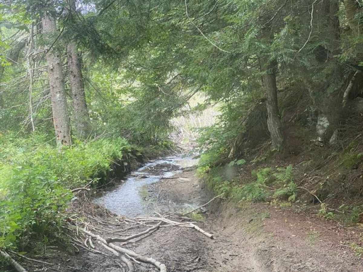 Woodbury Mountain Lower Trail photo 2