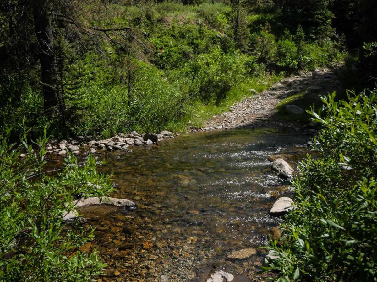 Carbon Trail photo 3