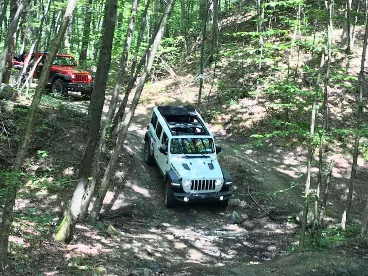 45 trail photo