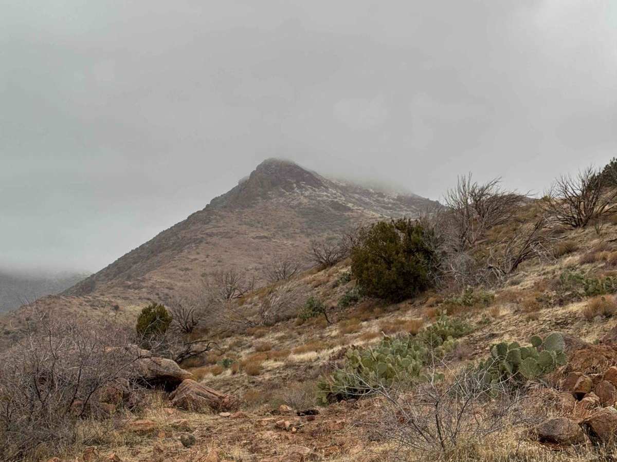 Benchmark Mountain photo 4