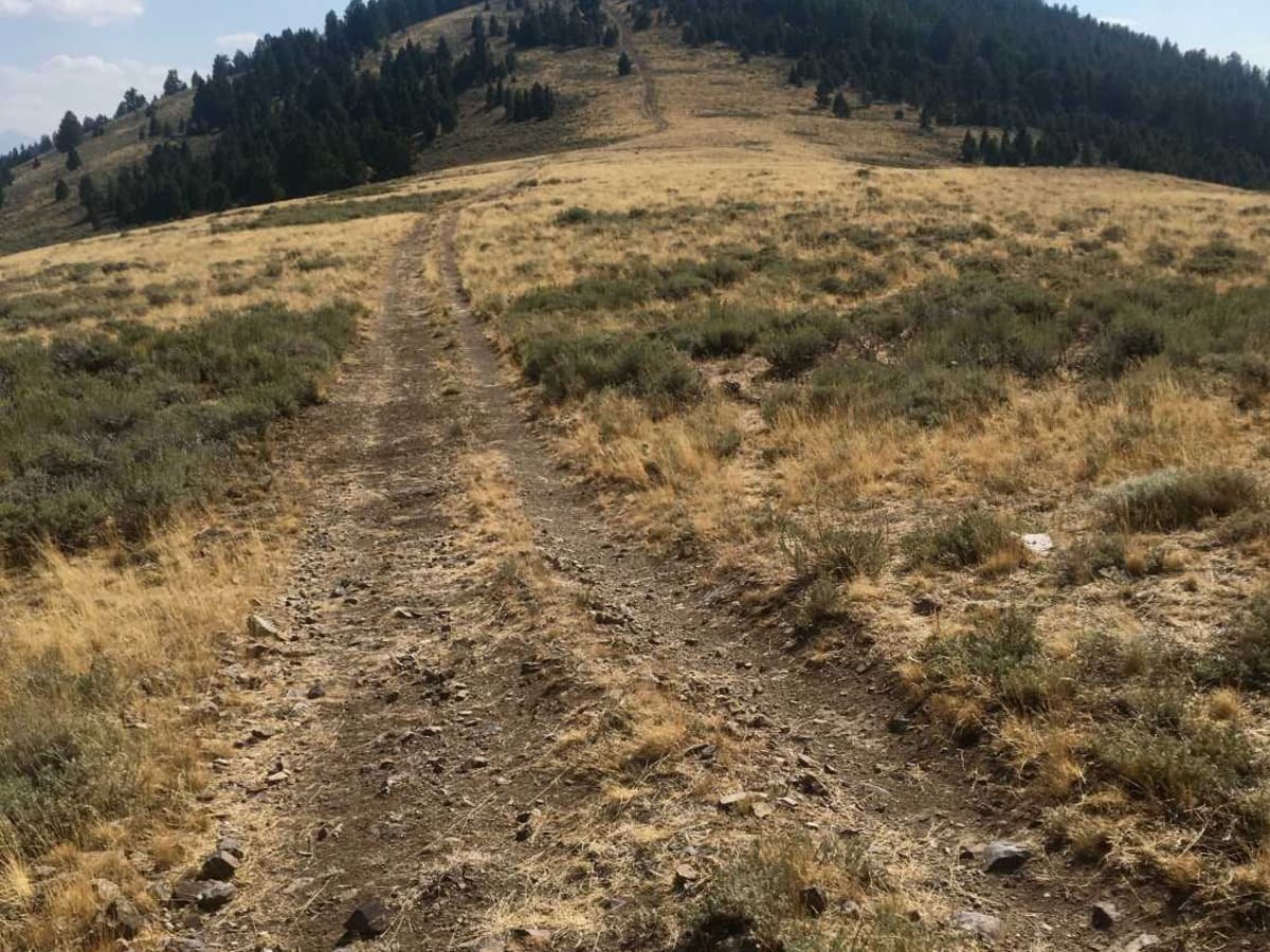Ramsey Mountain Road trail photo