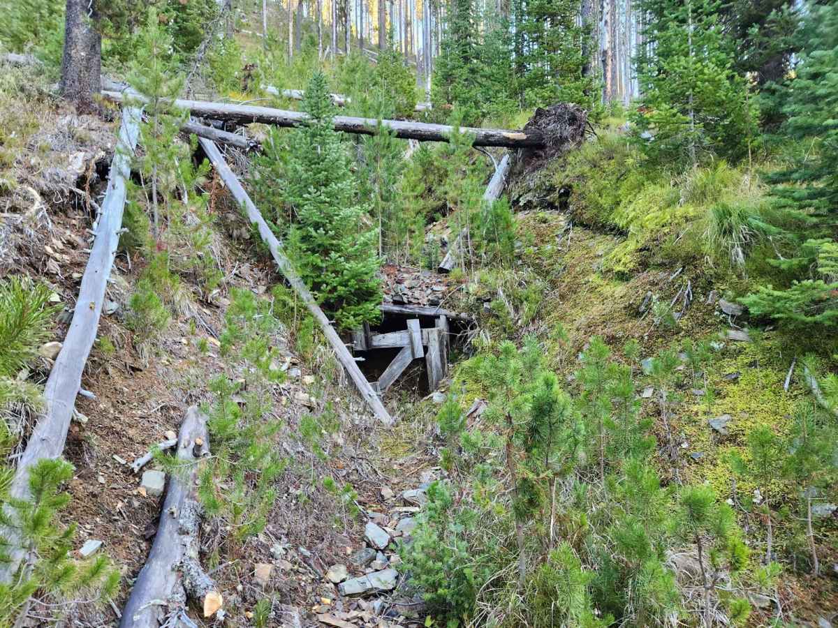Frank Heller Mine Trail trail photo
