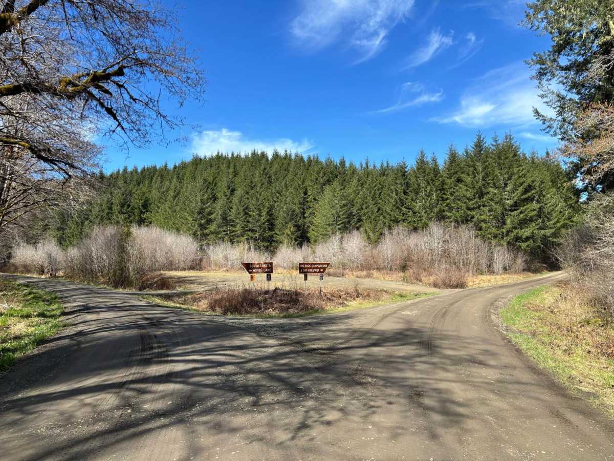 Agency Creek Road trail photo