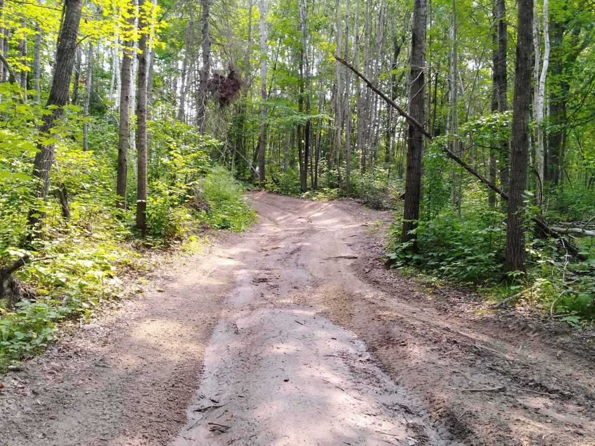 Emily - Blind Lake Trail - East 106 photo 6