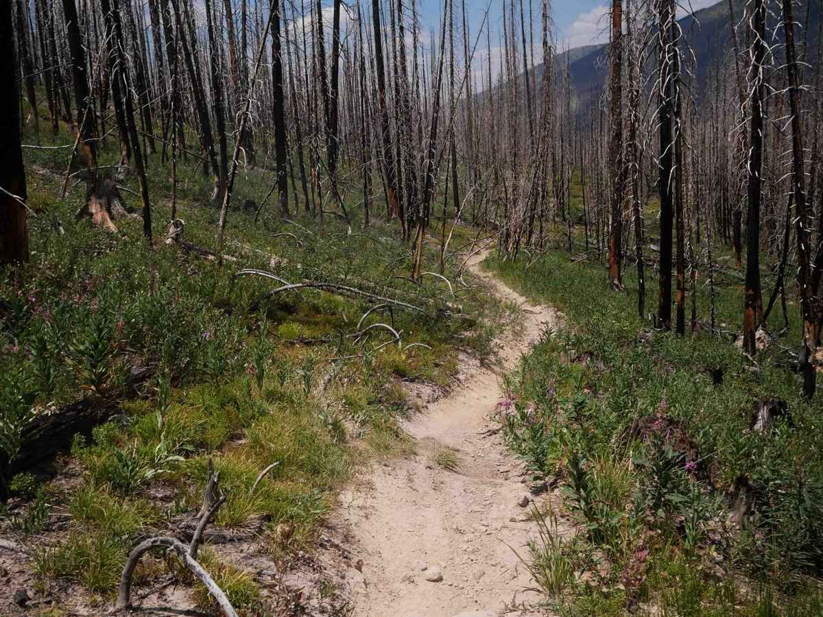 Gilsonite Trail  photo 3