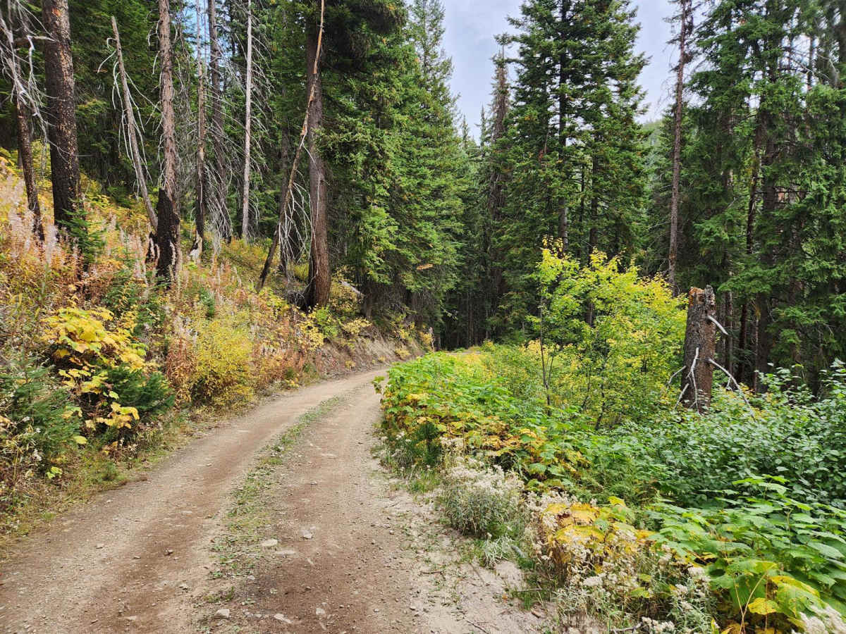 Running Creek - FR357 photo 2
