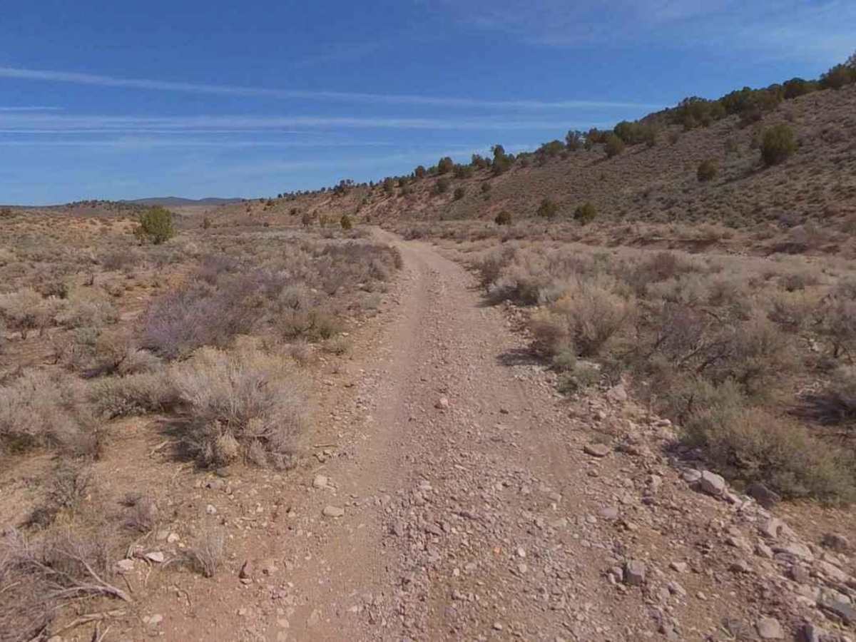 Nephi Wash-FR30877 photo 5