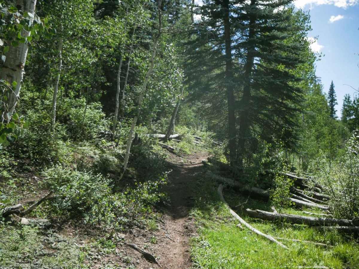 Morrison Trail (Part 2) photo 6