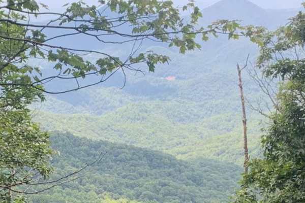 Beaverdam Bald