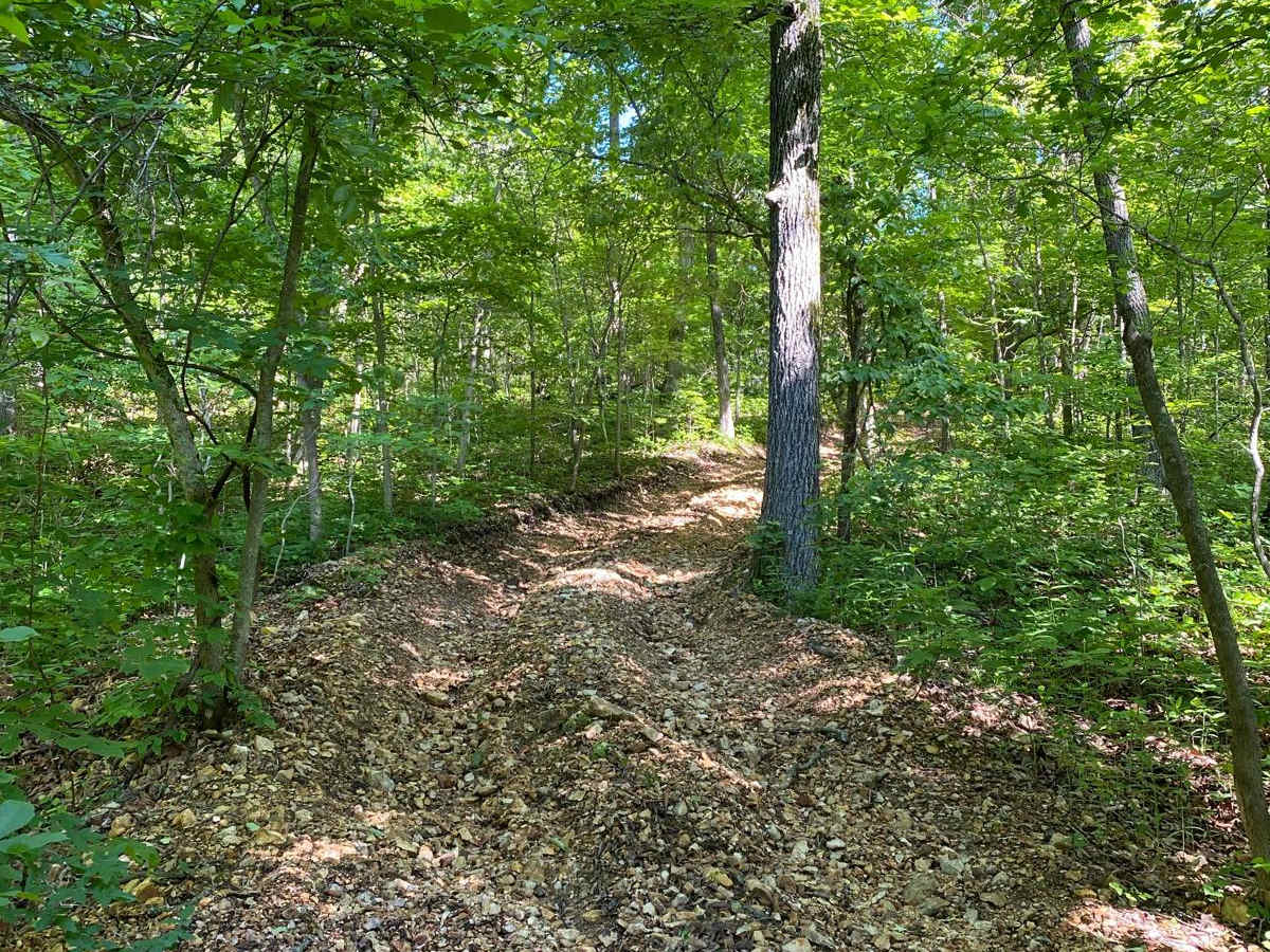 Eagle Ridge photo 4