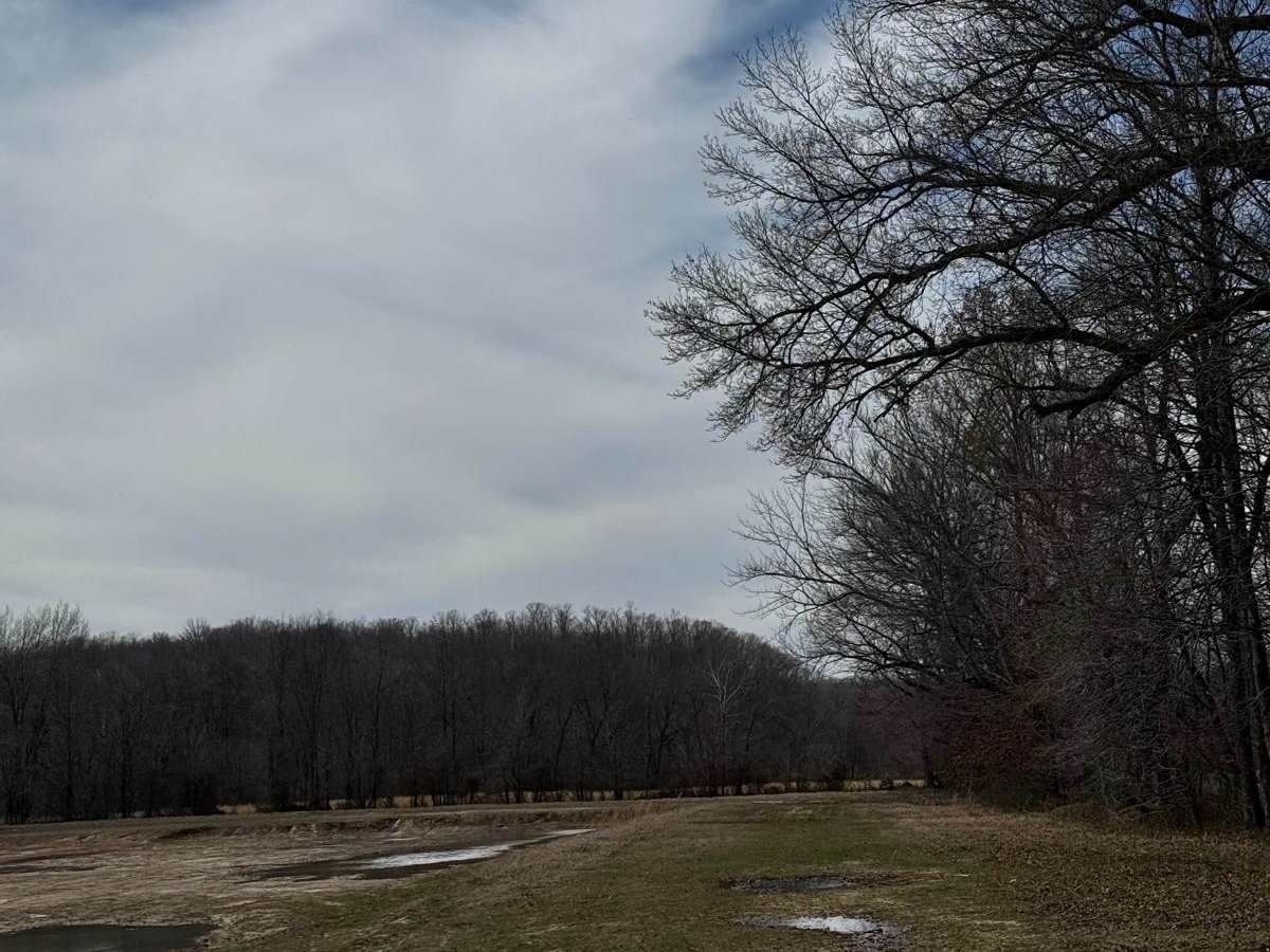 Mud Hole Main Loop photo 2