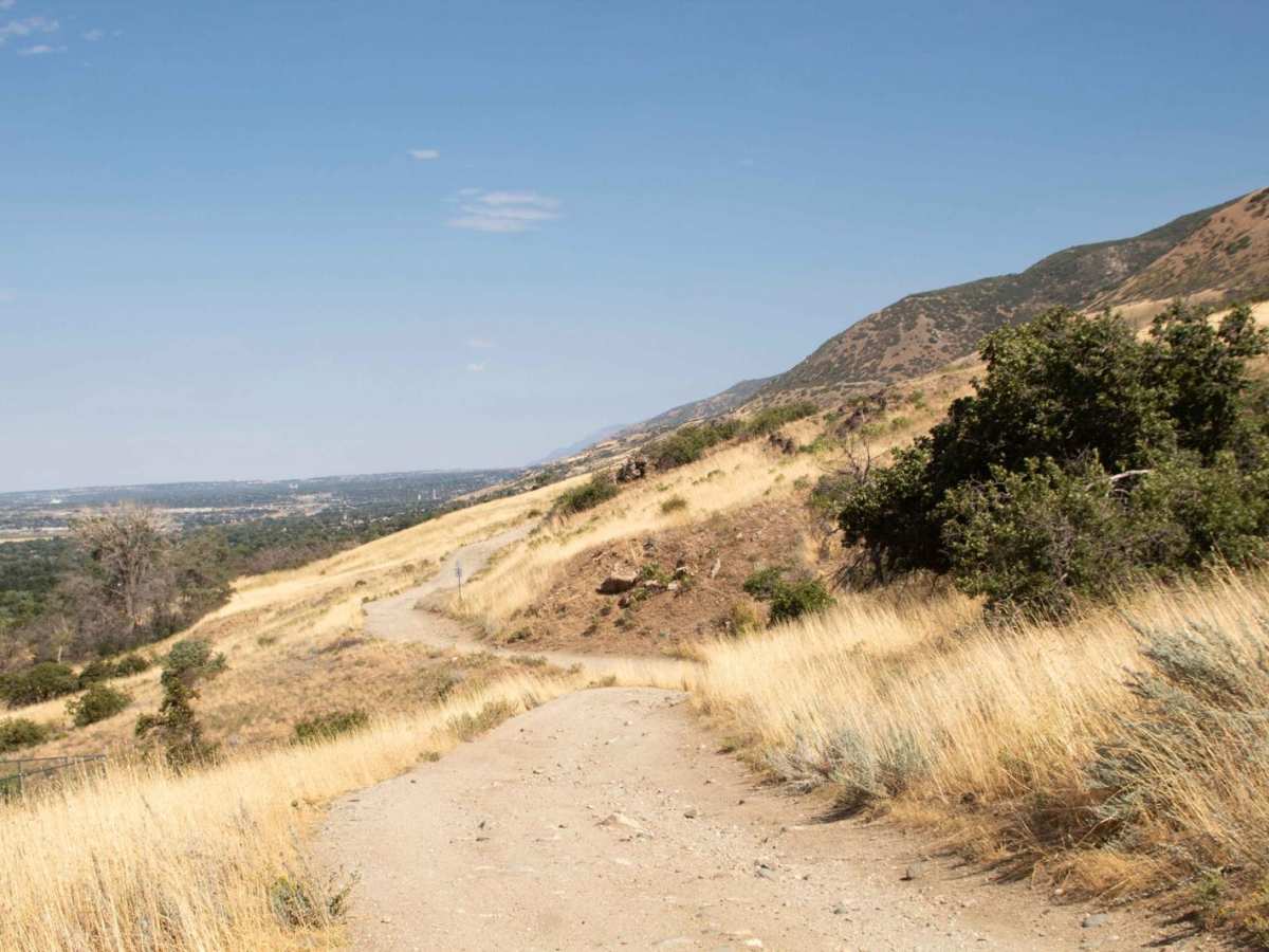 Centerville Firebreak Road photo 3