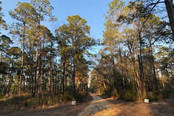 Hogfoot Road - FS 332
