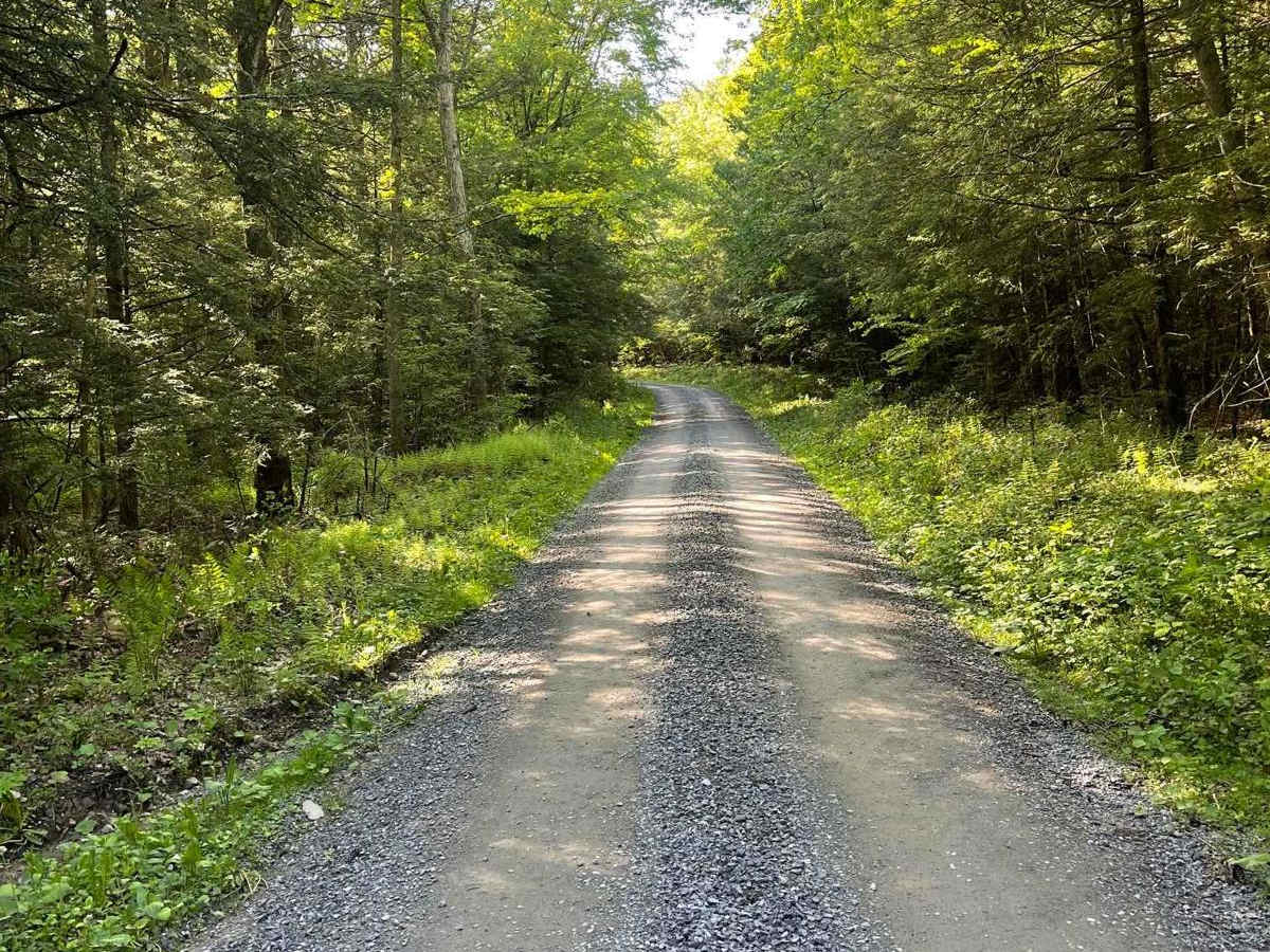 Cherry Run Road photo 3