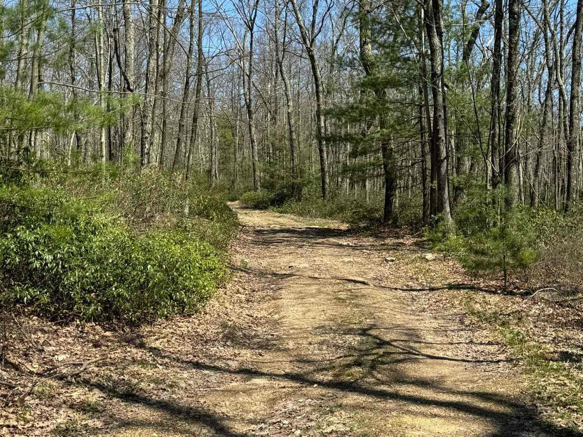 Gettis Ridge/Wampler Road photo 4