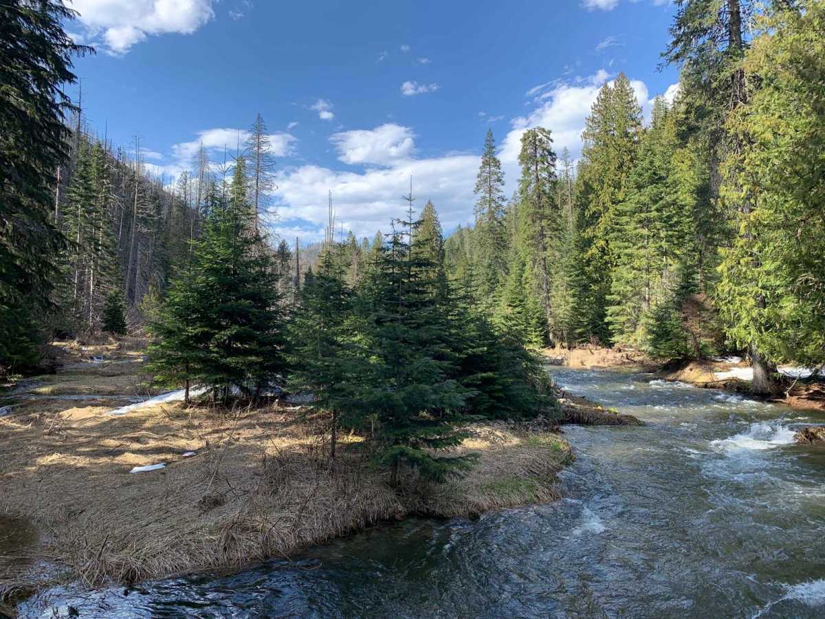 West Fork Eagle Creek (805) trail photo