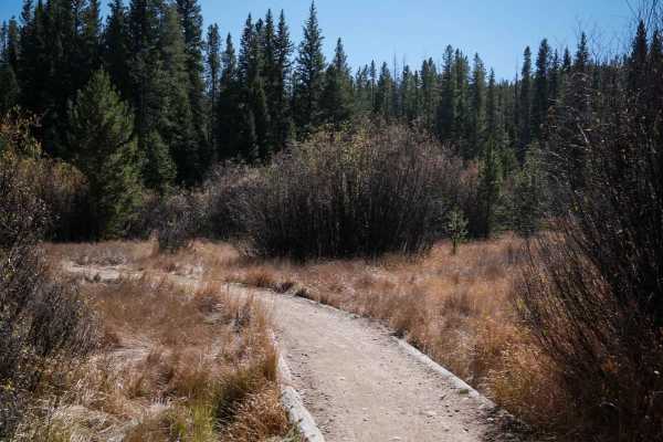 Elk Meadow ATV