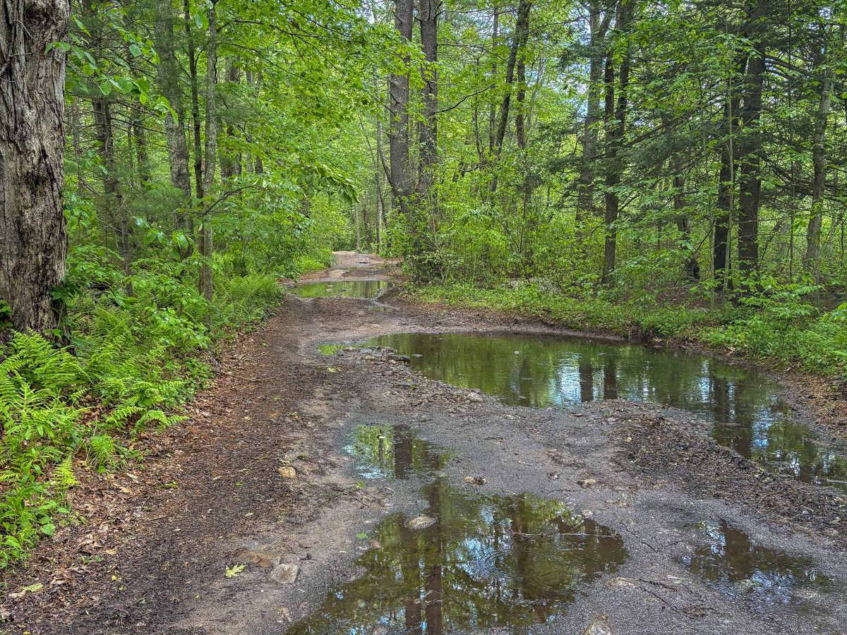 Miles Standish Road trail photo
