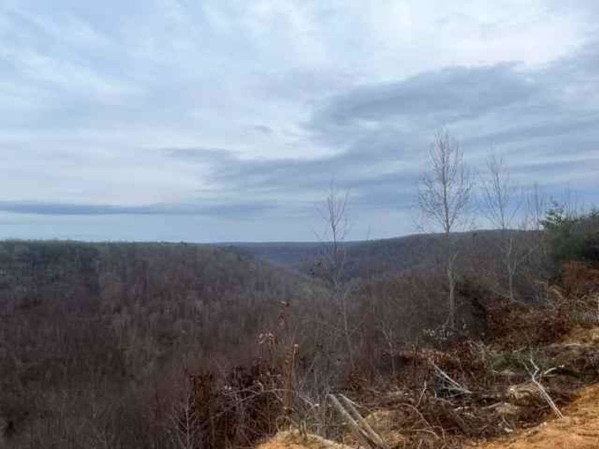 Coalmont OHV Main Road trail photo