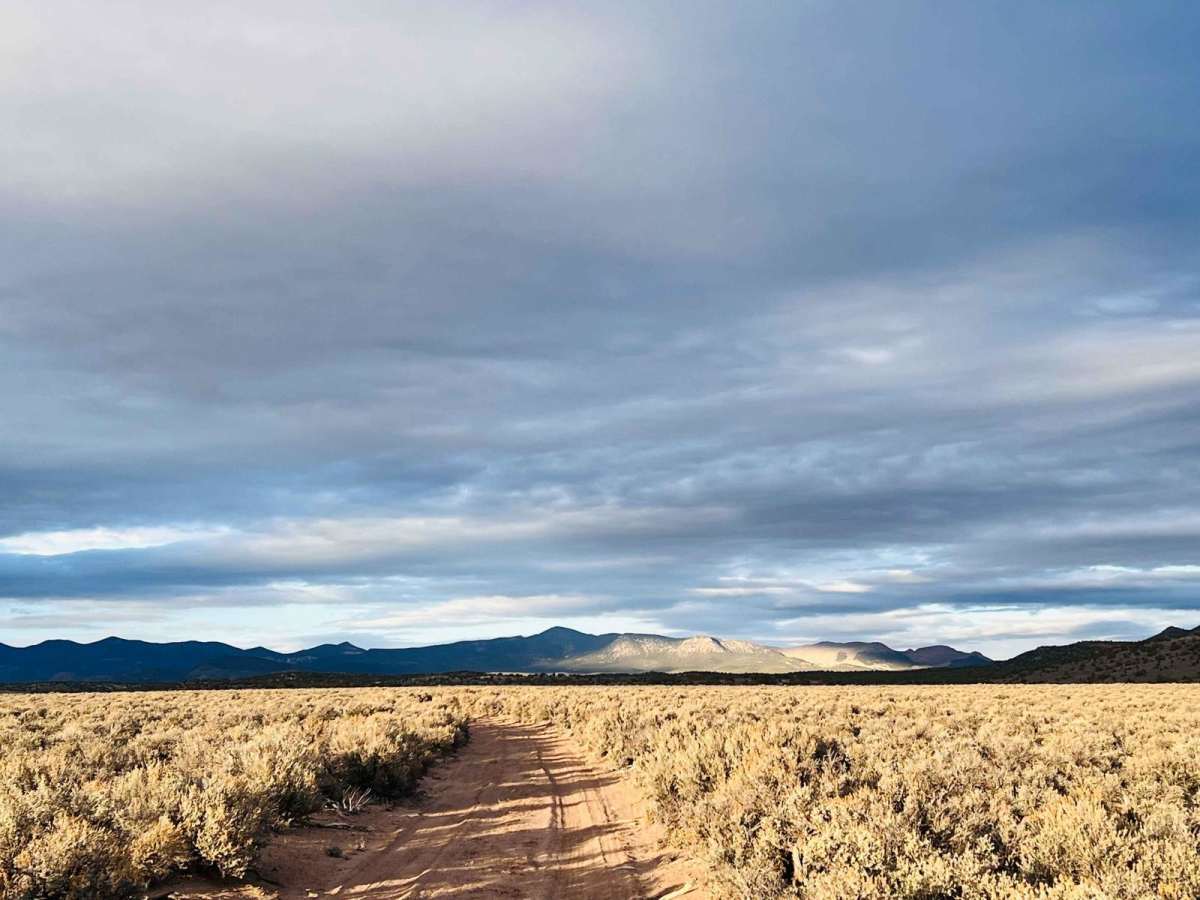 Willow Springs Half Loop trail photo