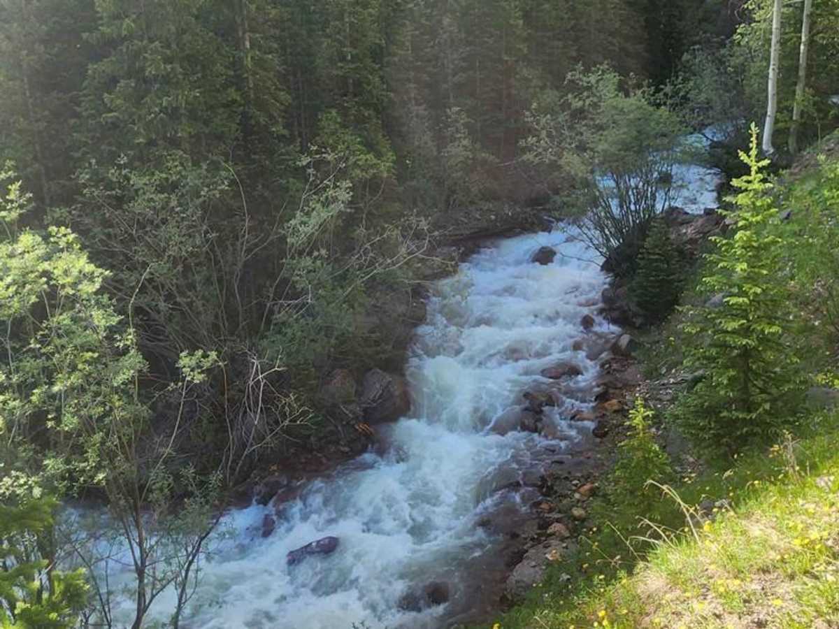 North Henson Creek Road photo 3