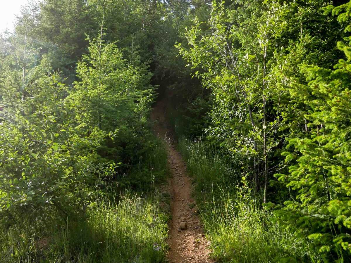 #41F trail photo