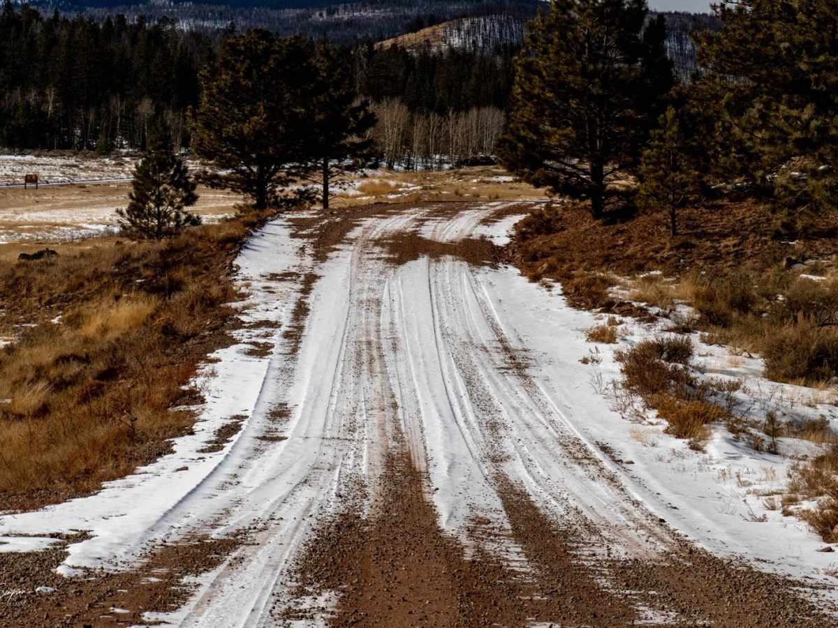 Tomahawk State Wildlife Area East photo 5